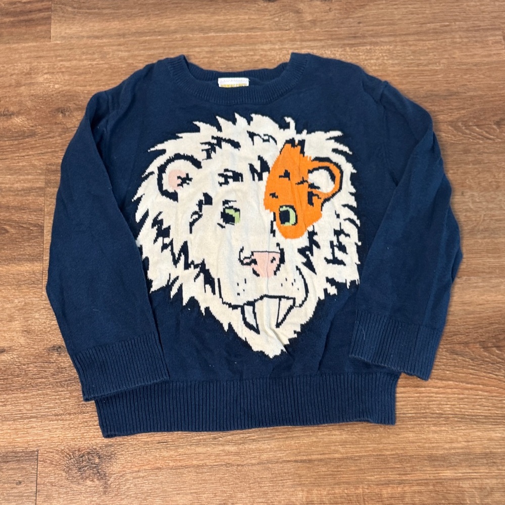 Boys sweater